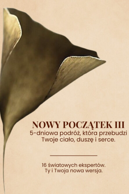 Nowy Początek III